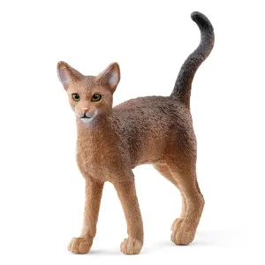 Abyssinian Cat