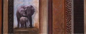 Africa Mia II