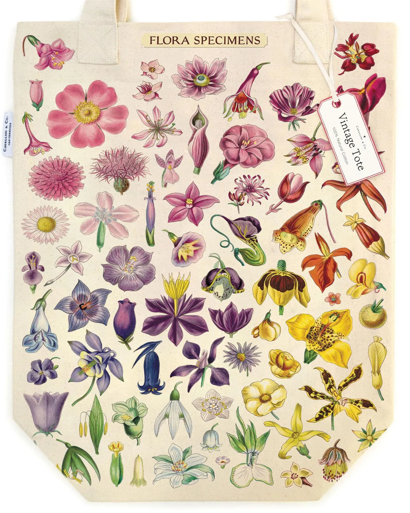 Cavallini - 100% Natural Cotton Vintage Tote Bag - 33x40.5cms - Flora Specimens