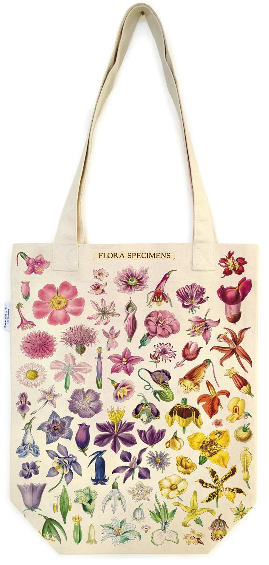 Cavallini - 100% Natural Cotton Vintage Tote Bag - 33x40.5cms - Flora Specimens