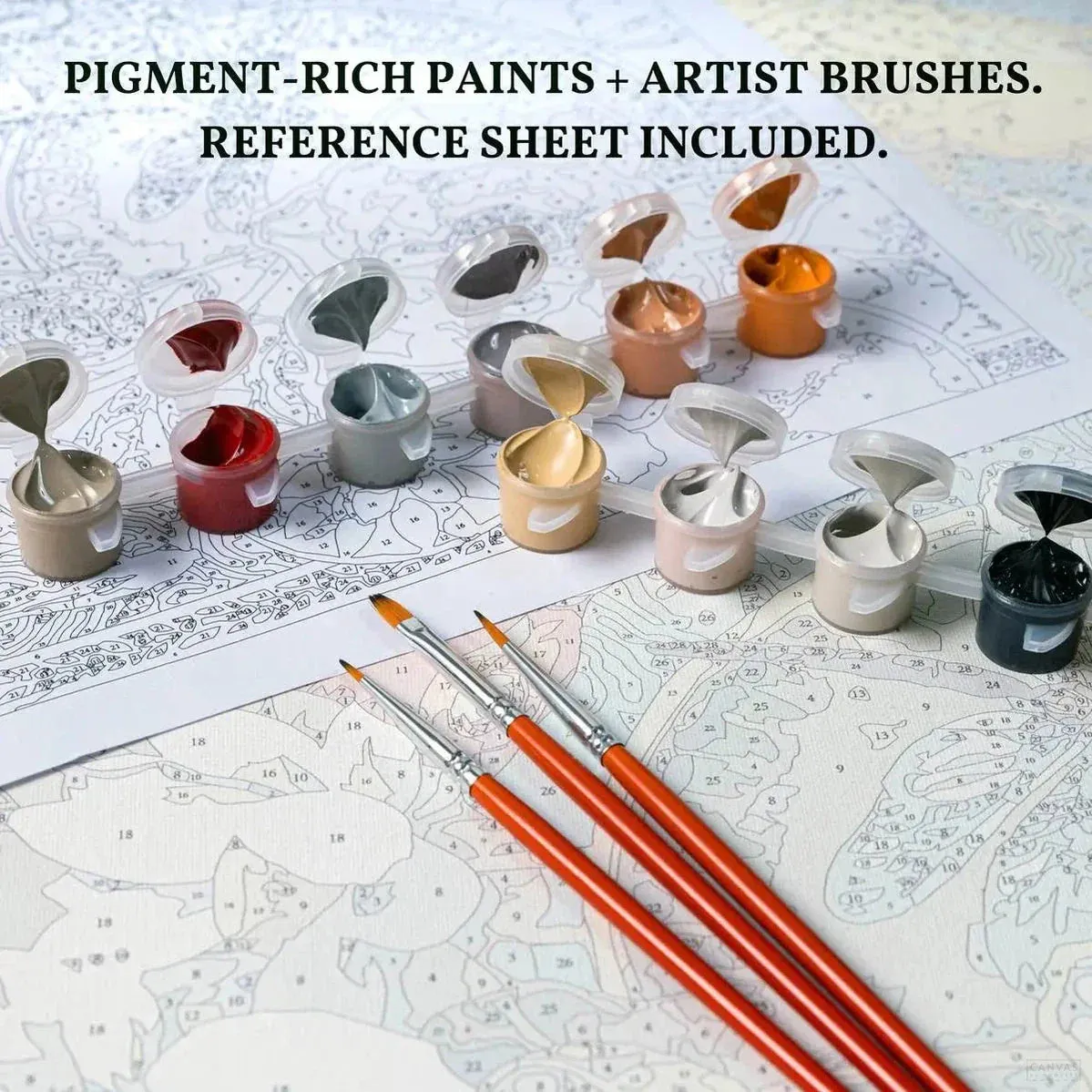 Chicken Paint by Number for Kids