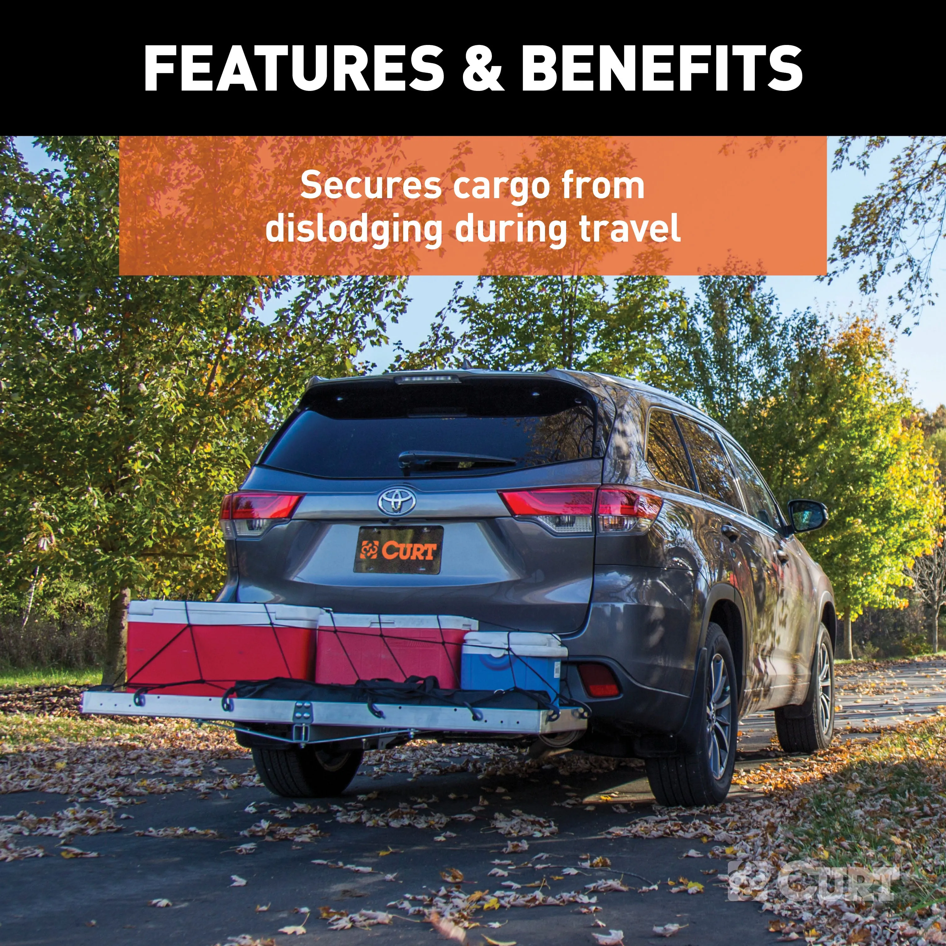 CURT 18202 CURT 18202 43 x 24-Inch Elastic Cargo Net with Hooks for Hitch Carrier