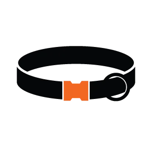 Dog Elegant Collar