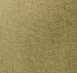 Everyday Pant