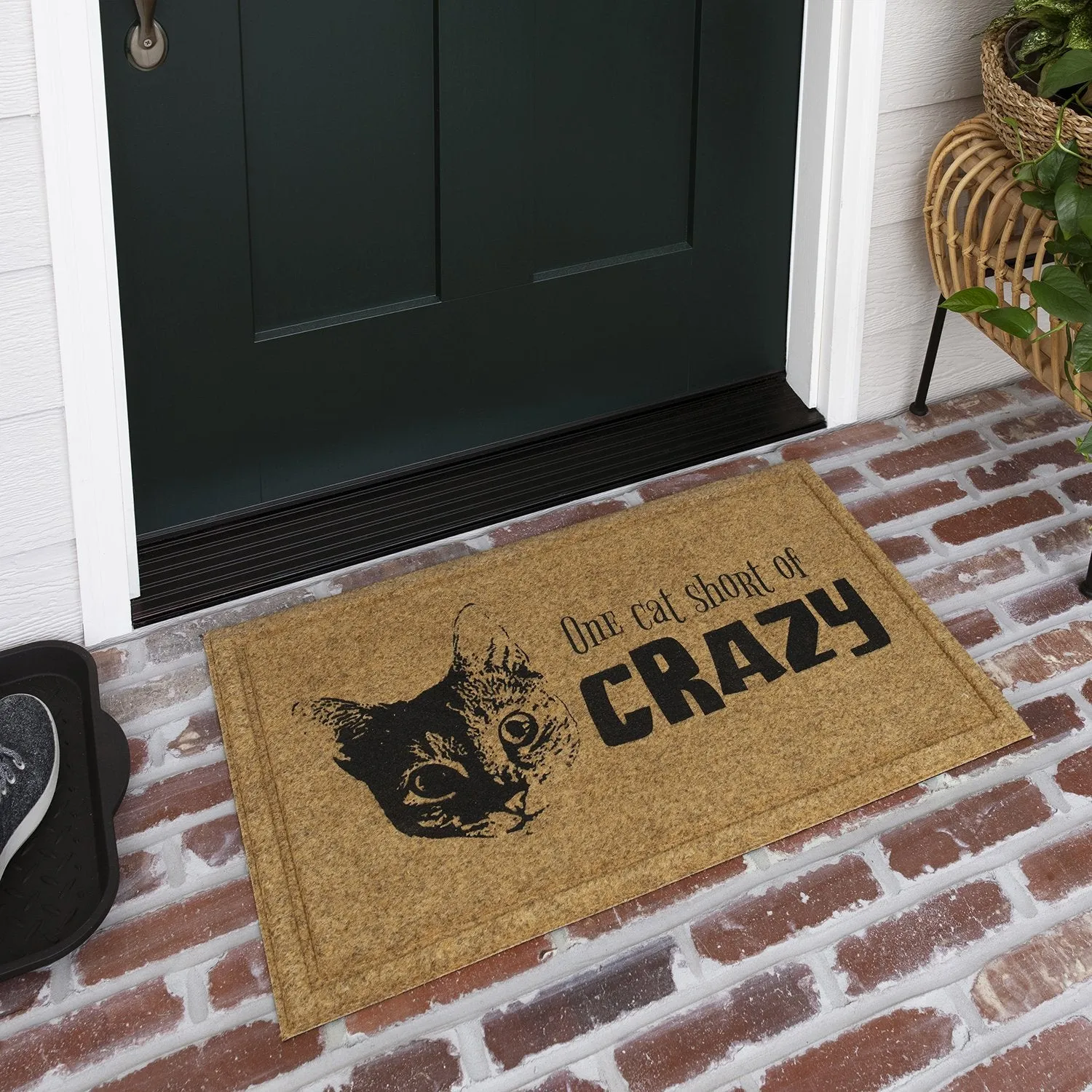 Faux Coir Cat Crazy Natural