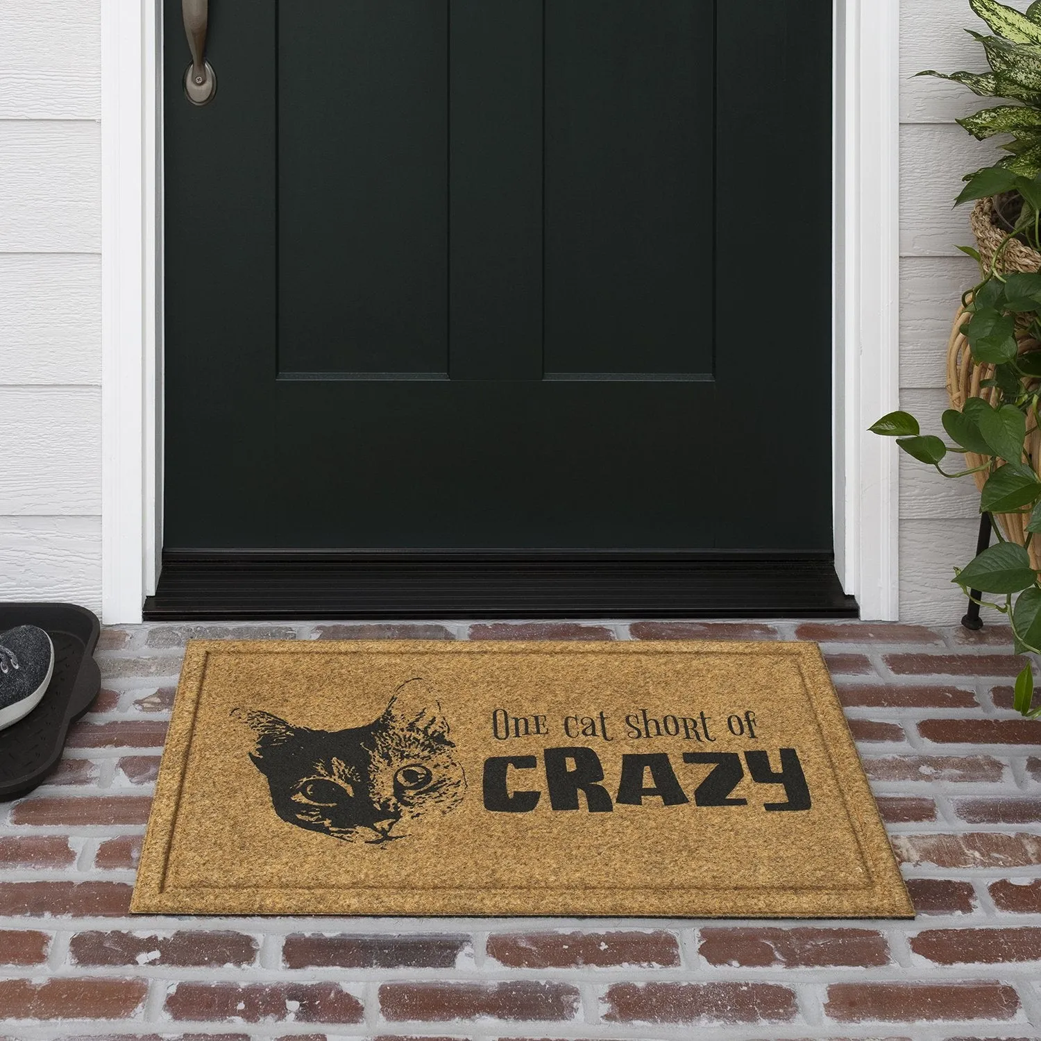 Faux Coir Cat Crazy Natural