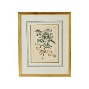 Floral Ribbon 2