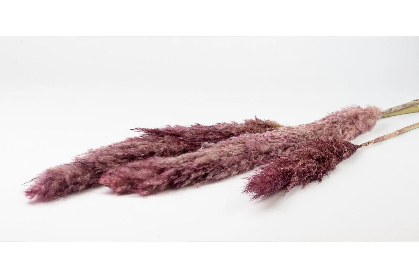 French Taupe Pink Pampas Bouquet