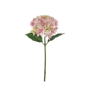 Garden Hydrangea Stem | Pink