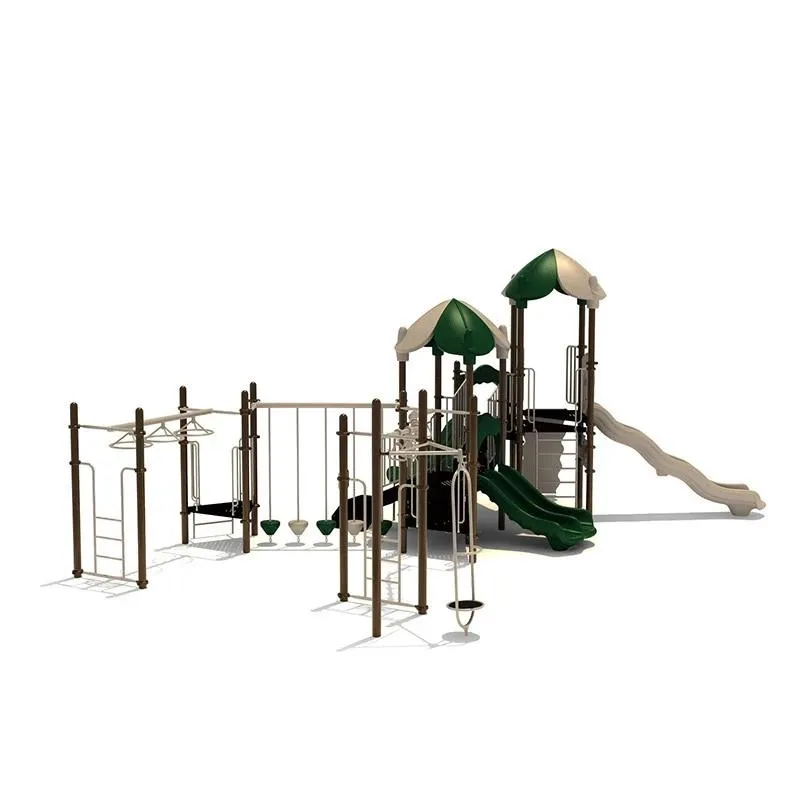 Grooving Gecko | Commercial Playground Equipment