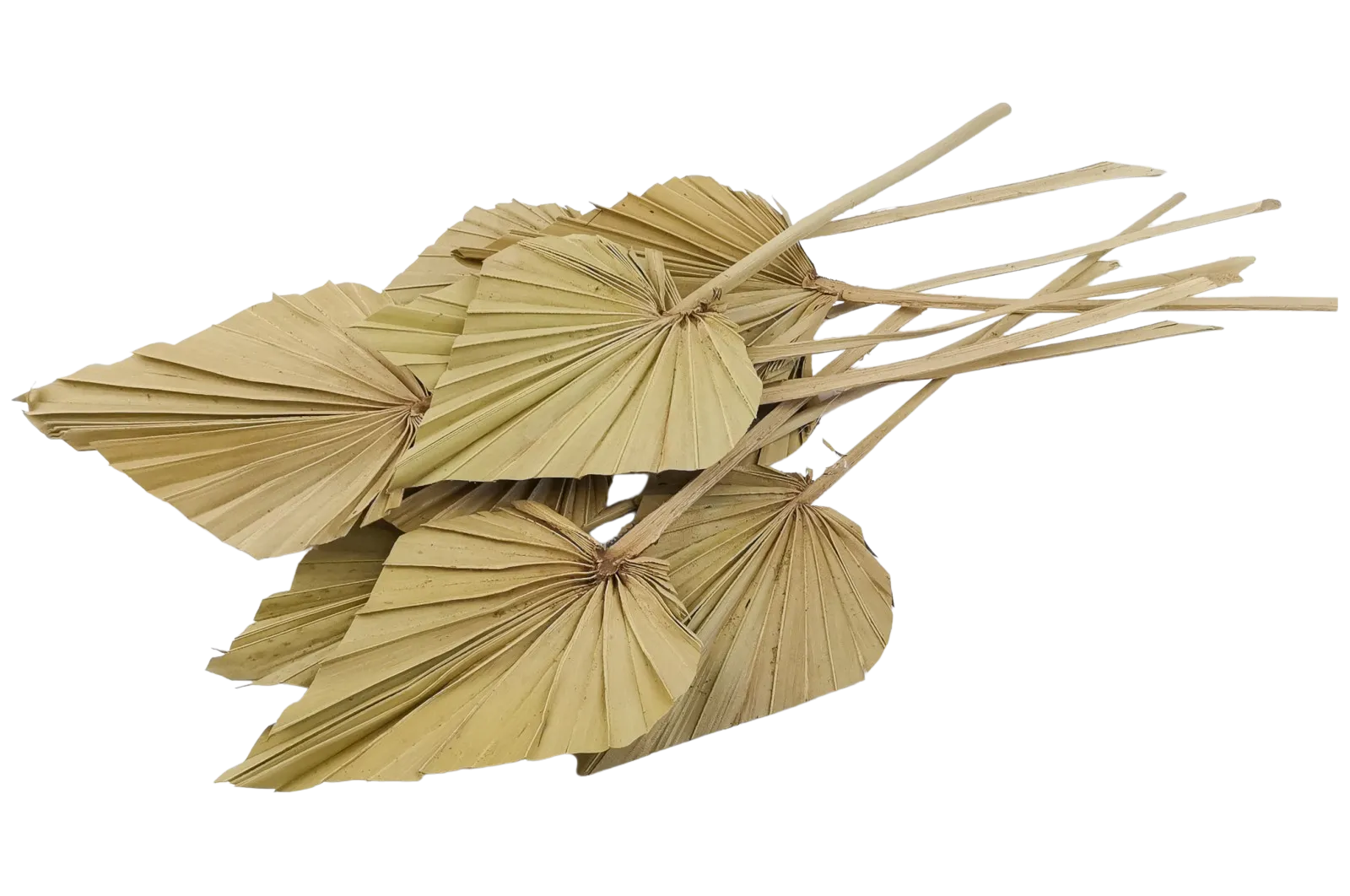 Italian Natural Mini Palm Spears Bouquet