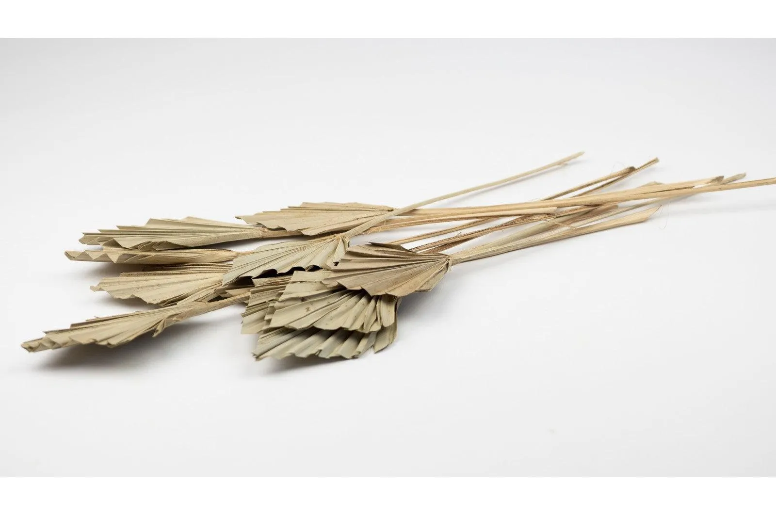 Italian Natural Mini Palm Spears Bouquet