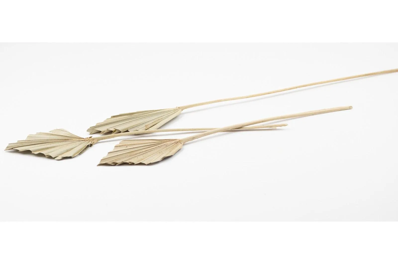 Italian Natural Mini Palm Spears Bouquet