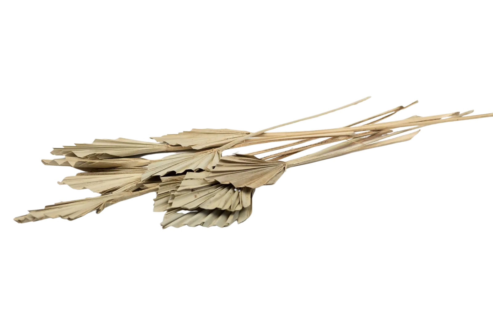 Italian Natural Mini Palm Spears Bouquet
