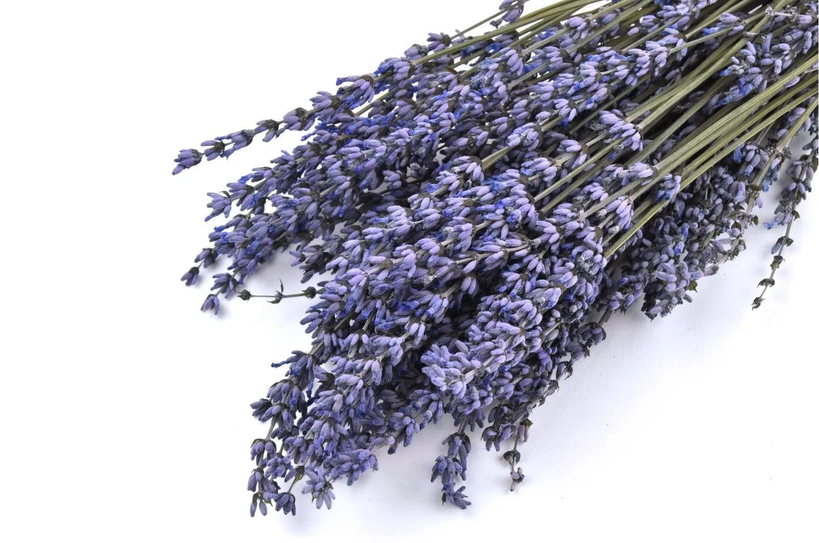 Kenyan Natural Provencal Lavender Bouquet