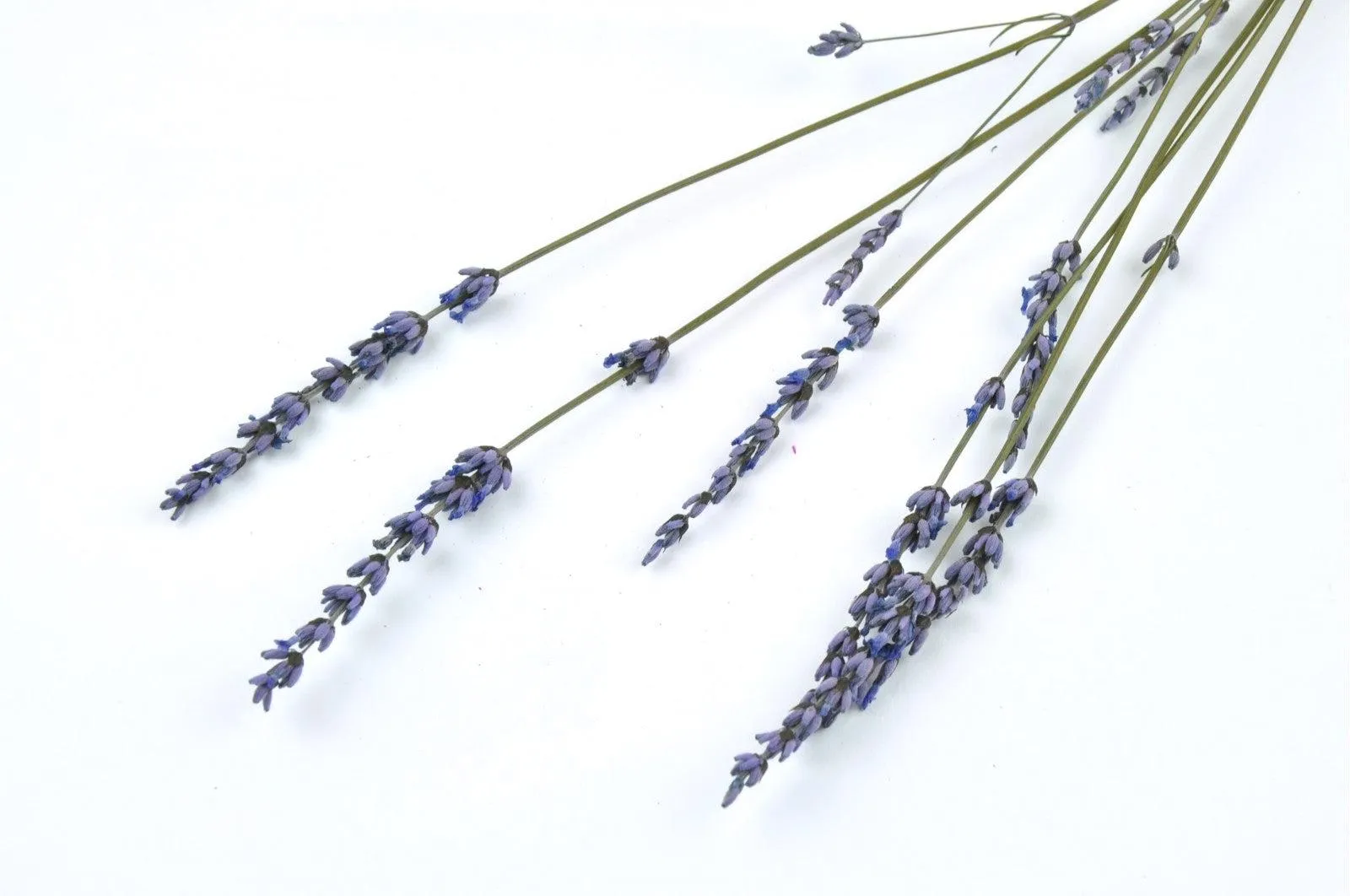 Kenyan Natural Provencal Lavender Bouquet