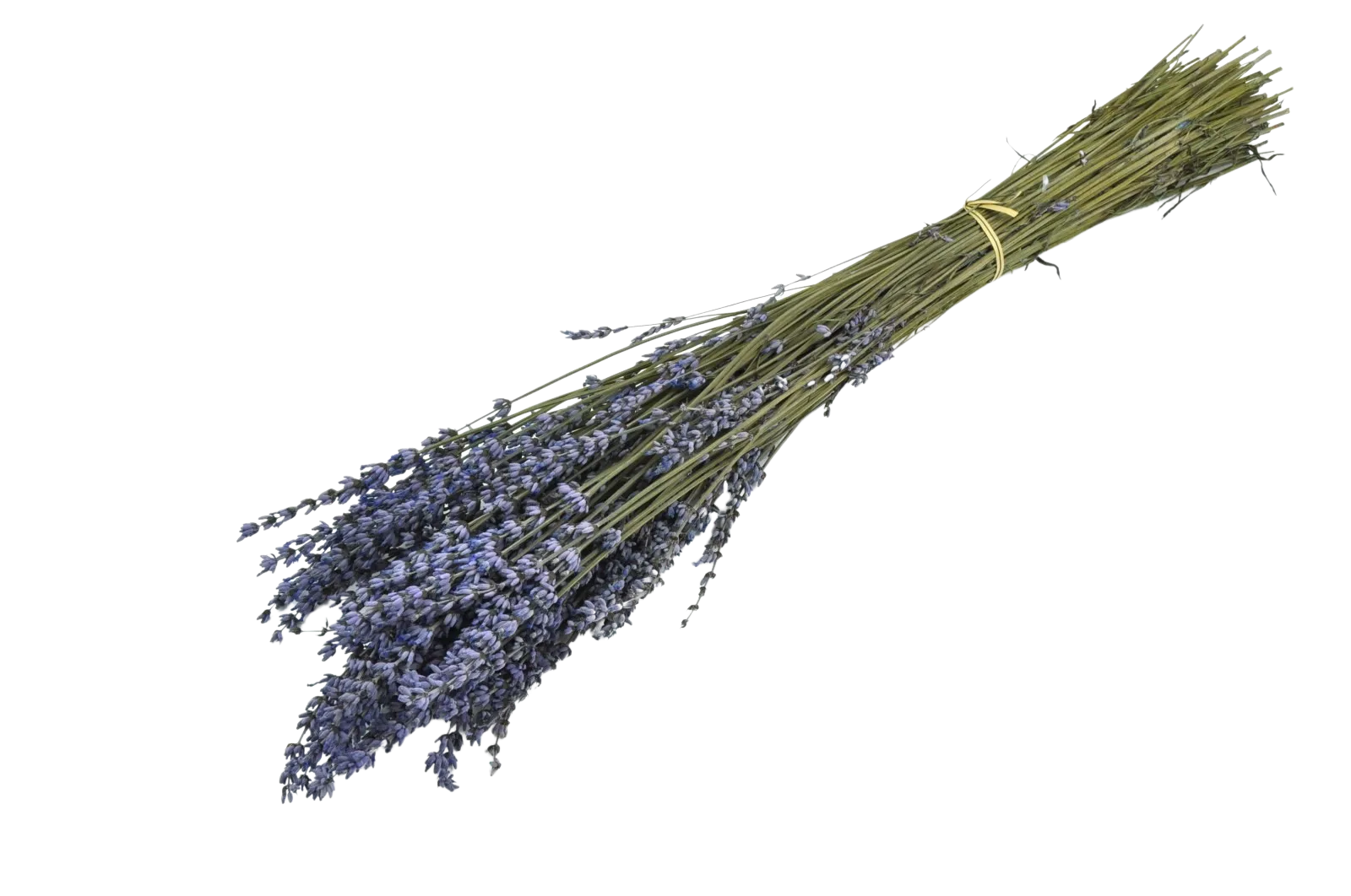 Kenyan Natural Provencal Lavender Bouquet