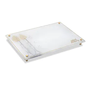 Painted by Judy Hadlokas Neiros Tray