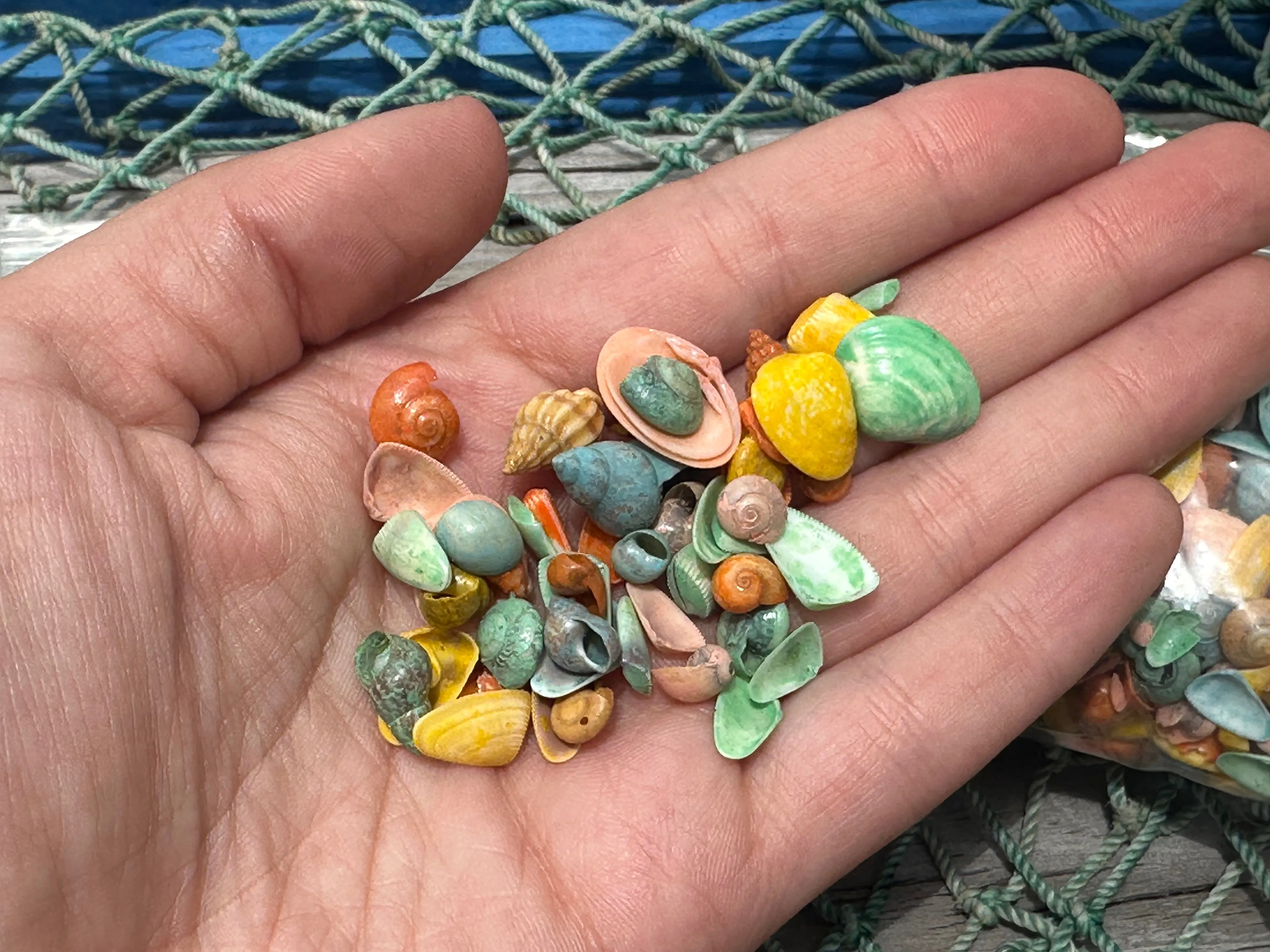 Pastel Dyed Shell Mixture