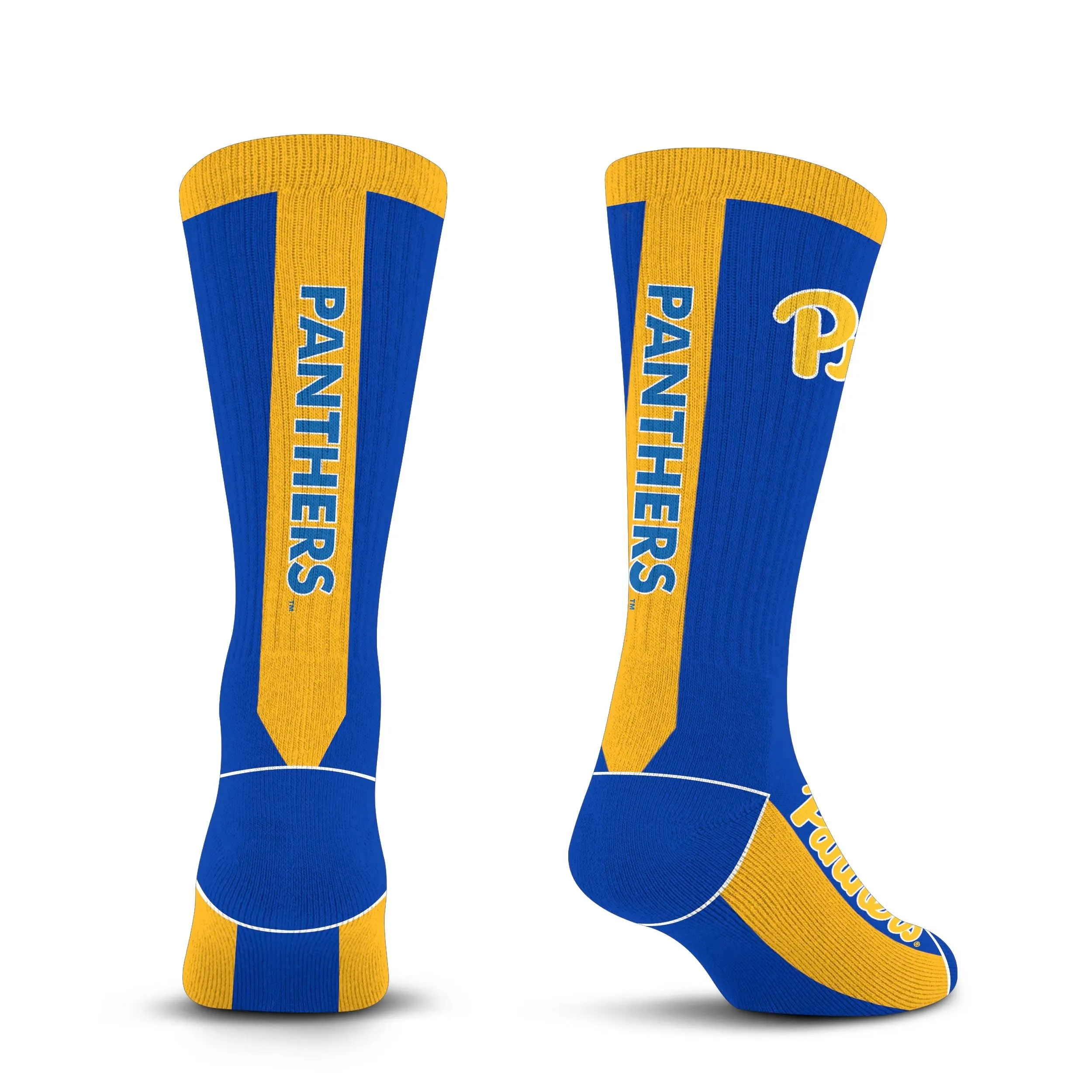Pittsburgh Panthers - MVP