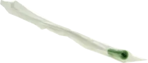 Single use disposable catheters, DISPOSABLE CATHETER Tiemann Ch 14