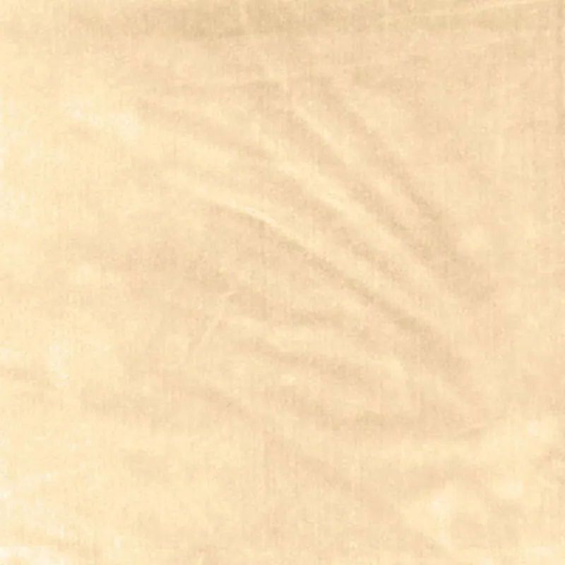 Venetian silk velvet | Doeskin