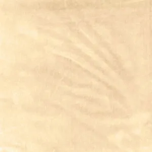 Venetian silk velvet | Doeskin