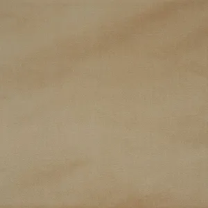 Venetian silk velvet | Parchment